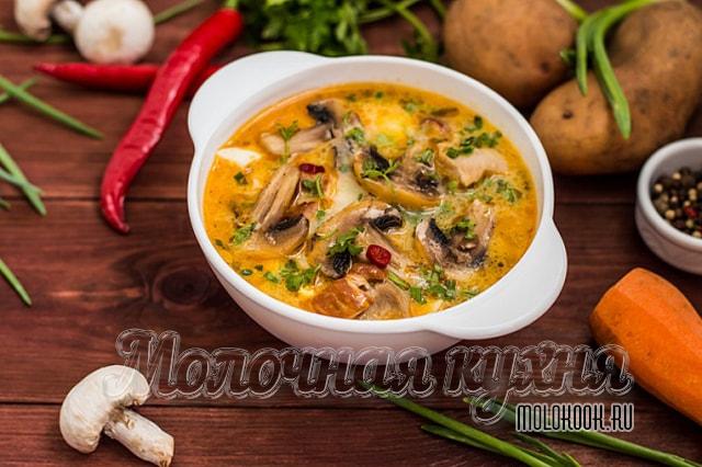 Суп с курицей, шампиньонами и плавленым сыром