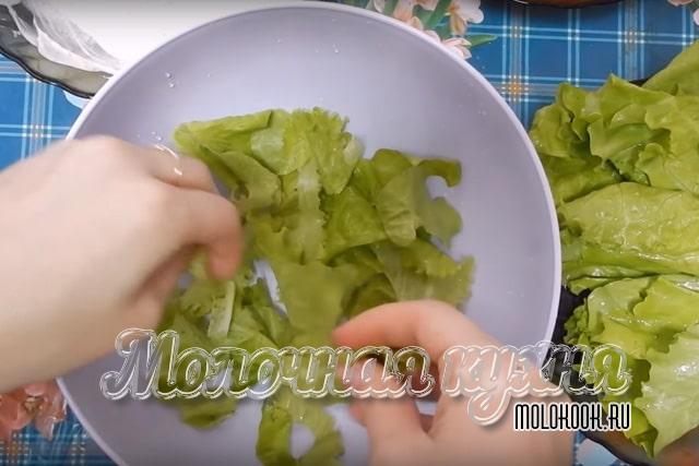 Выкладывание латука