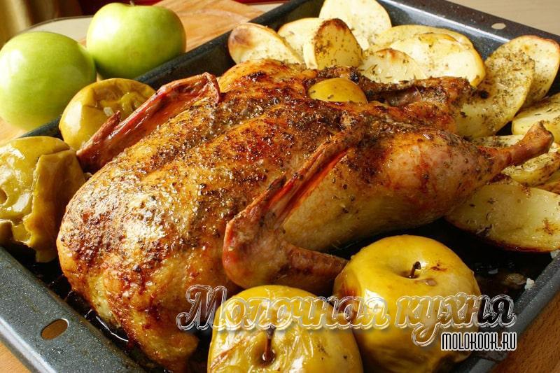 Рецепт гуся, запеченного в духовке с яблоками