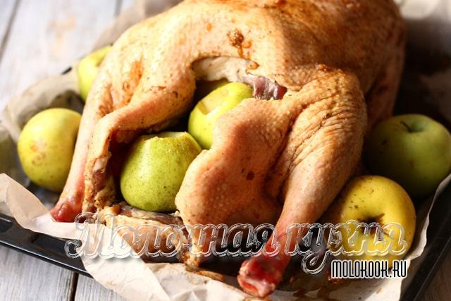 Фаршированная птица