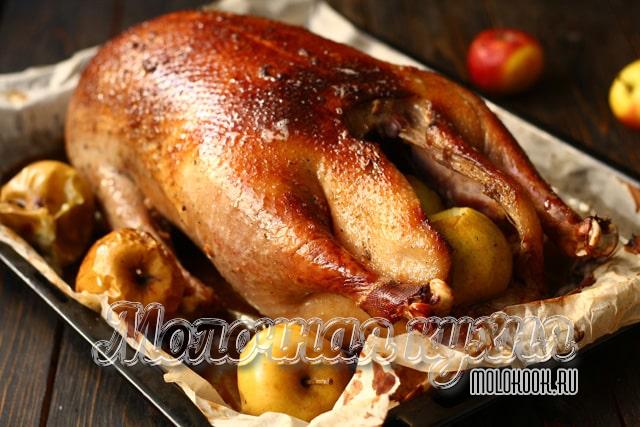 Запеченный гусь с кусочками яблок, горчицей и медом