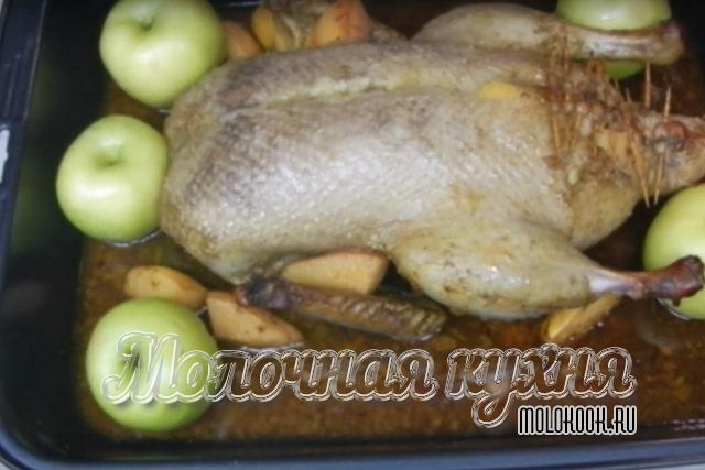 Яблоки разложены
