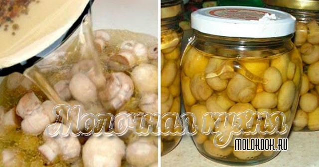 Шампиньоны, маринованные в стеклянных банках впрок (на зиму)