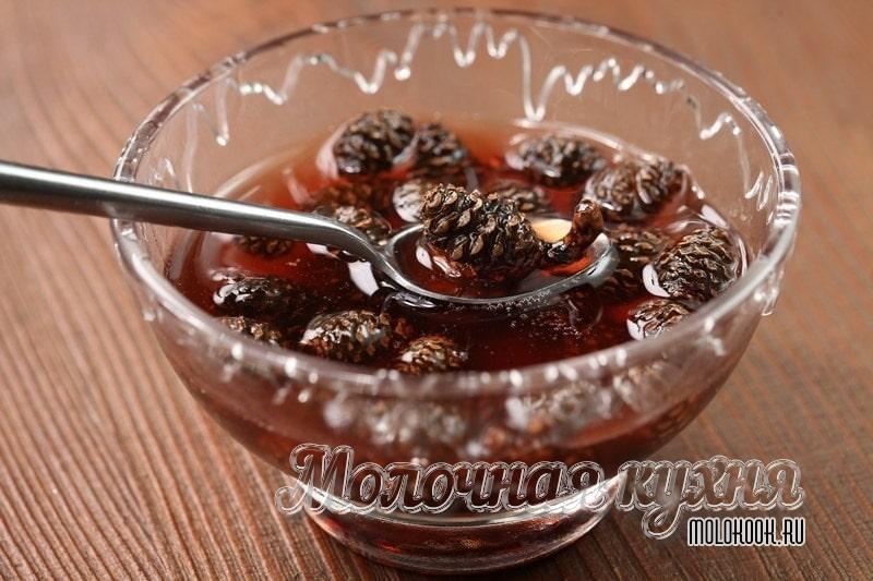 Рецепт соснового варенья из шишек