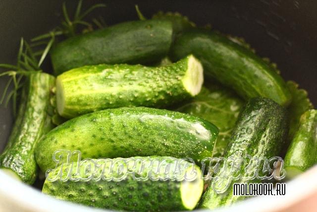 Огурцы уложены