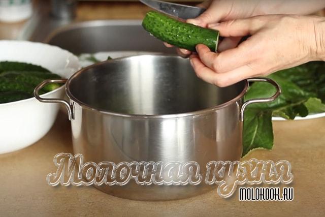 Обрезка огуречных кончиков