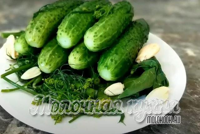 Быстрый рецепт за сутки