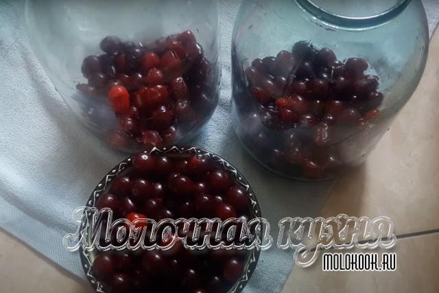Вишня разложена