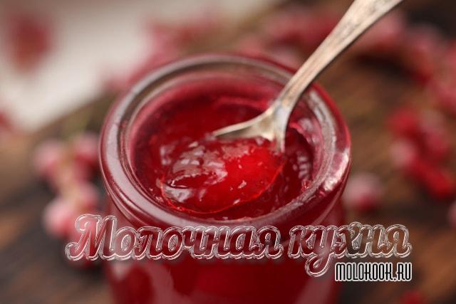 Желе из красной смородины 5-минутка