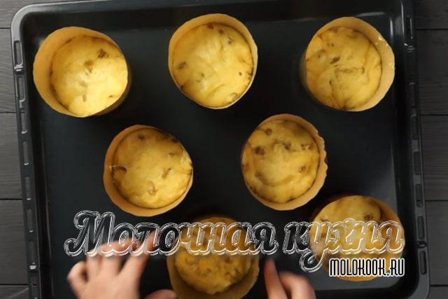 Тесто разложено по бумажным формам для куличей