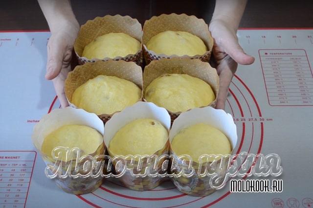 Куличи перед выпечкой