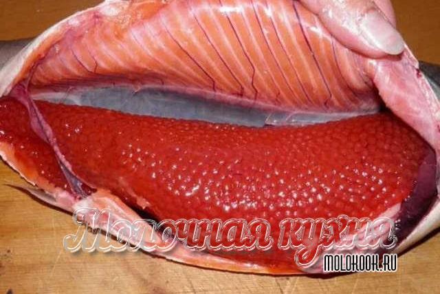 Выбираем форель с икрой: все внешние признаки икряной самки