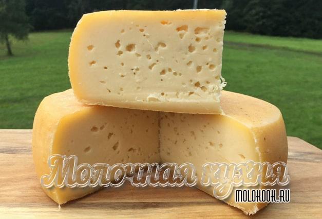 Какой сыр можно жарить: лучшие виды и способы их приготовления