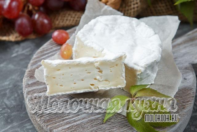 Какие бывают виды и сорта сыра с плесенью, описание их вкуса