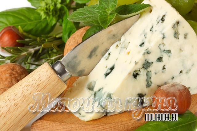 Какие бывают виды и сорта сыра с плесенью, описание их вкуса