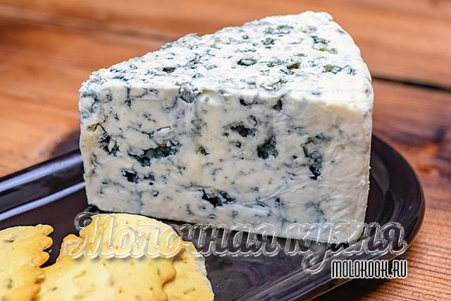 Какие бывают виды и сорта сыра с плесенью, описание их вкуса