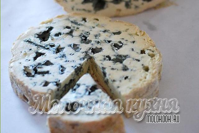 Какие бывают виды и сорта сыра с плесенью, описание их вкуса
