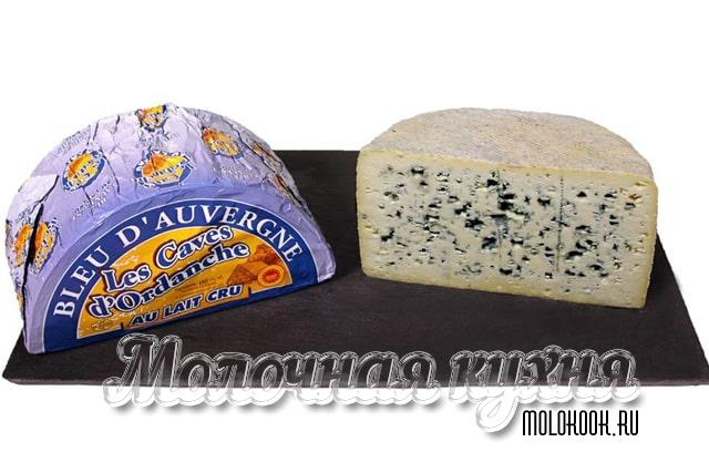 Какие бывают виды и сорта сыра с плесенью, описание их вкуса