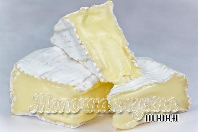 Какие бывают виды и сорта сыра с плесенью, описание их вкуса
