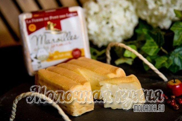 Какие бывают виды и сорта сыра с плесенью, описание их вкуса