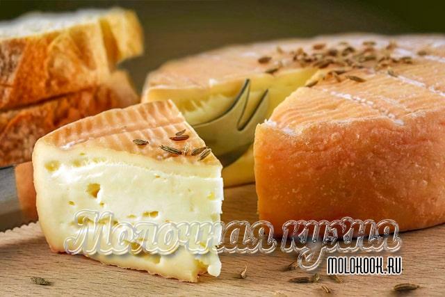 Какие бывают виды и сорта сыра с плесенью, описание их вкуса
