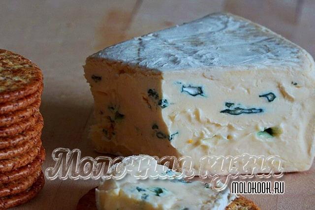 Какие бывают виды и сорта сыра с плесенью, описание их вкуса