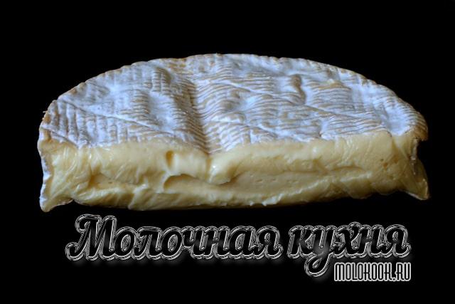 Какие бывают виды и сорта сыра с плесенью, описание их вкуса