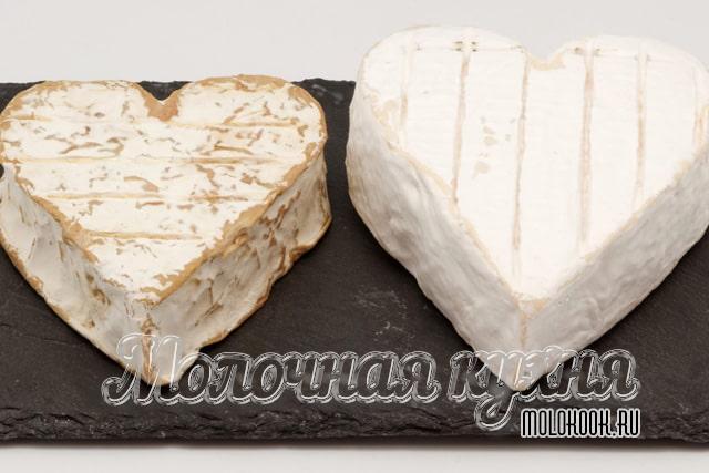 Какие бывают виды и сорта сыра с плесенью, описание их вкуса