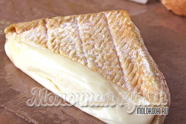 Какие бывают виды и сорта сыра с плесенью, описание их вкуса