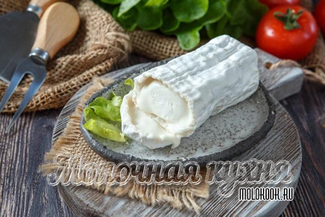 Какие бывают виды и сорта сыра с плесенью, описание их вкуса