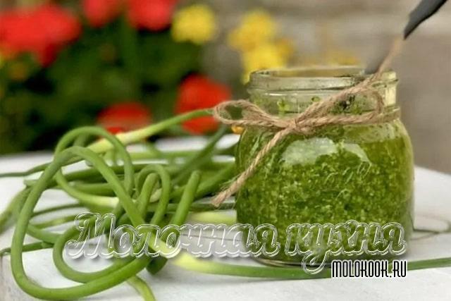 Консервированный соус из стрелок чеснока впрок