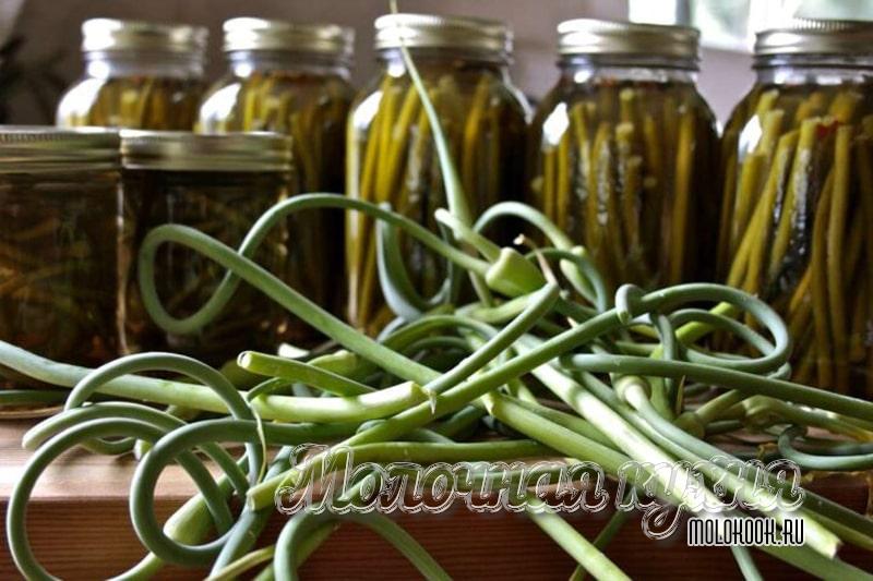 Заготовка чесночных стрелок на зиму