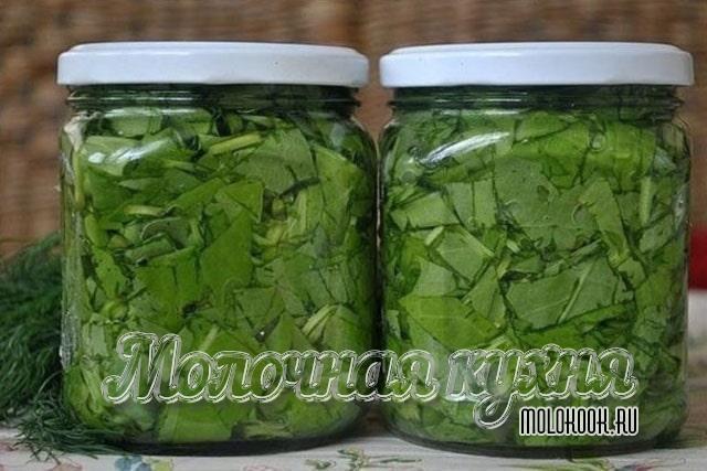 Маринованный щавель с уксусом