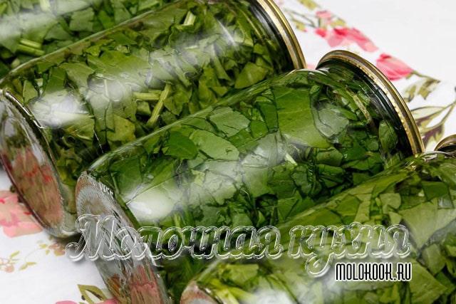 Щавель без соли холодным способом
