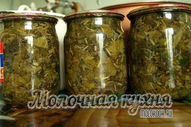 Заправка из щавеля и другой зелени