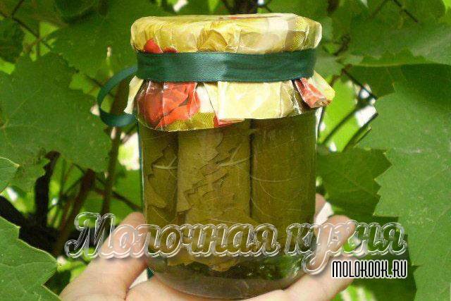 Соленые листья для долмы с горчичным порошком