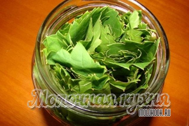 Листья, уложенные в банку
