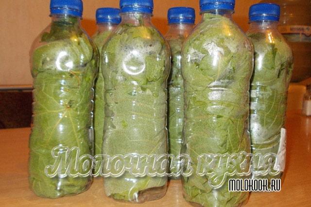 Листья для долмы в бутылке на зиму