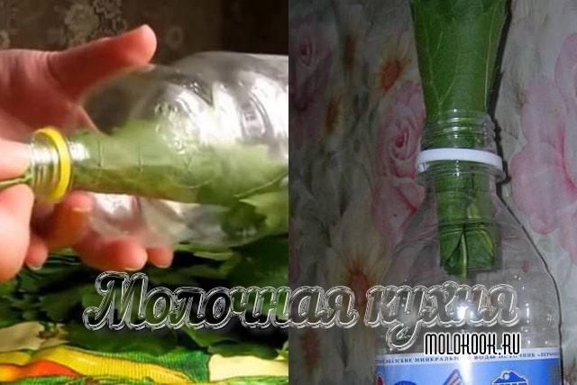 Особенности заготовки