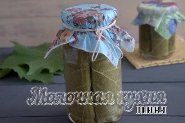 Рецепт заготовки листьев винограда с лимонной кислотой