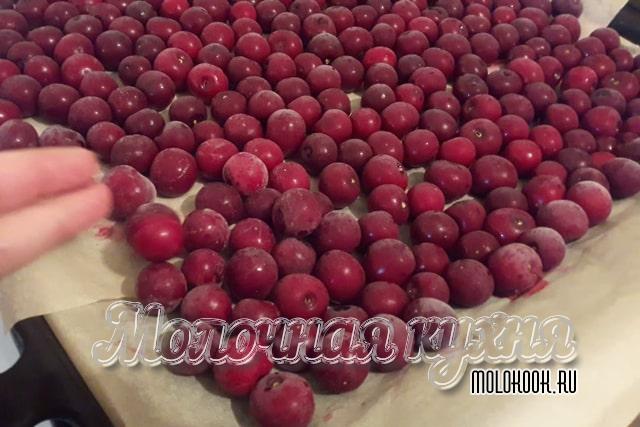 Вишня заморозилась