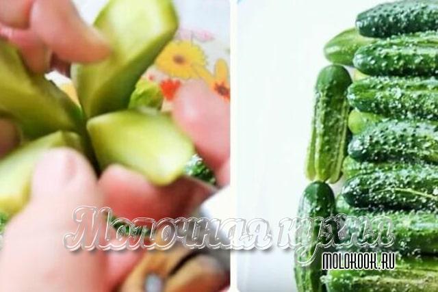 Разрезать и засолить огурцы