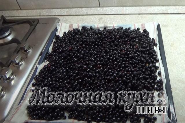 Просушка черной смородины