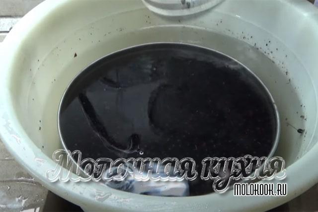 Мытье смородины