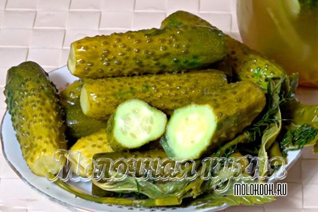 Малосольные огурцы в банке