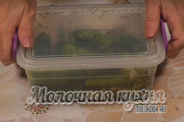 Контейнер закрыт крышкой