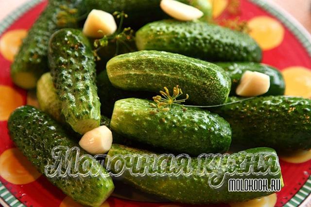 Малосольные огурцы в пластиковой бутылке