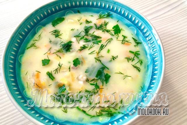 Сырный суп с вермишелью на курином бульоне