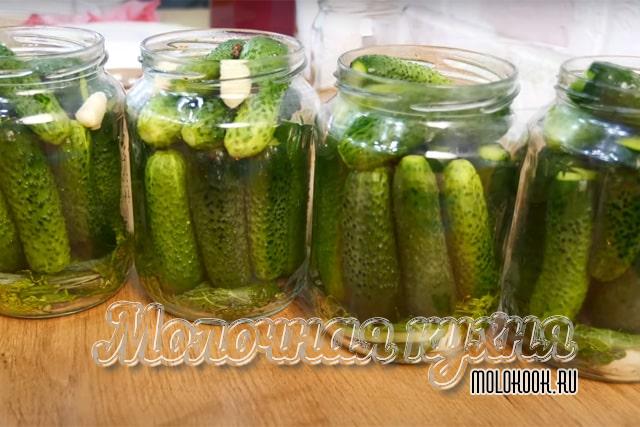 Плотно заполнить банки огурцами