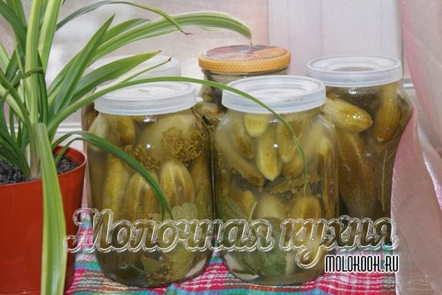 Соленые огурцы в горчичной заливке